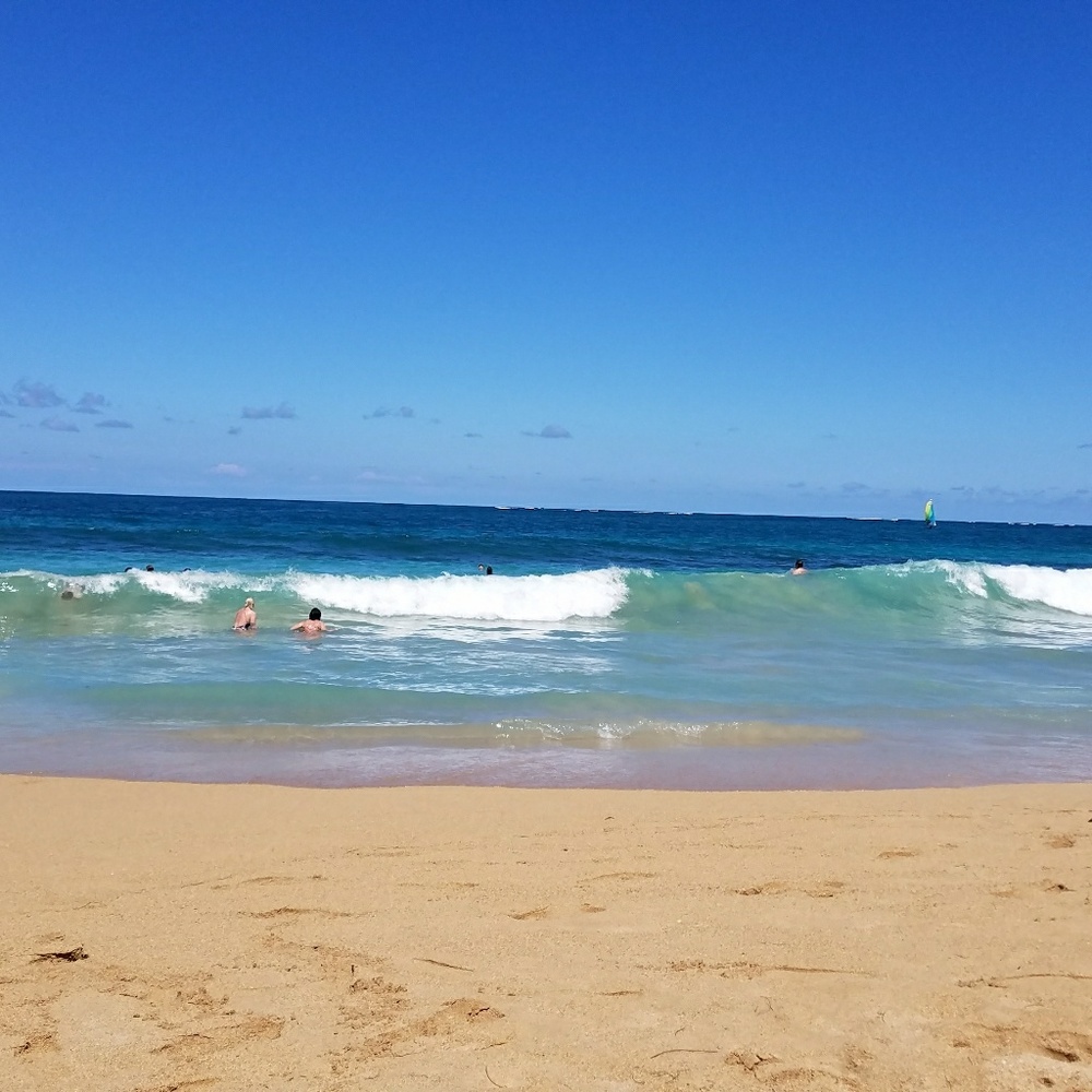 Meet your Posher, Ronda